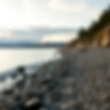 Exploring the Shoreline: A Detailed Perspective Introduction
