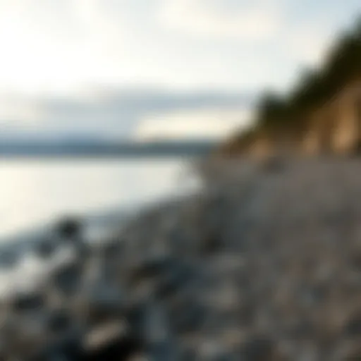 Exploring the Shoreline: A Detailed Perspective Introduction