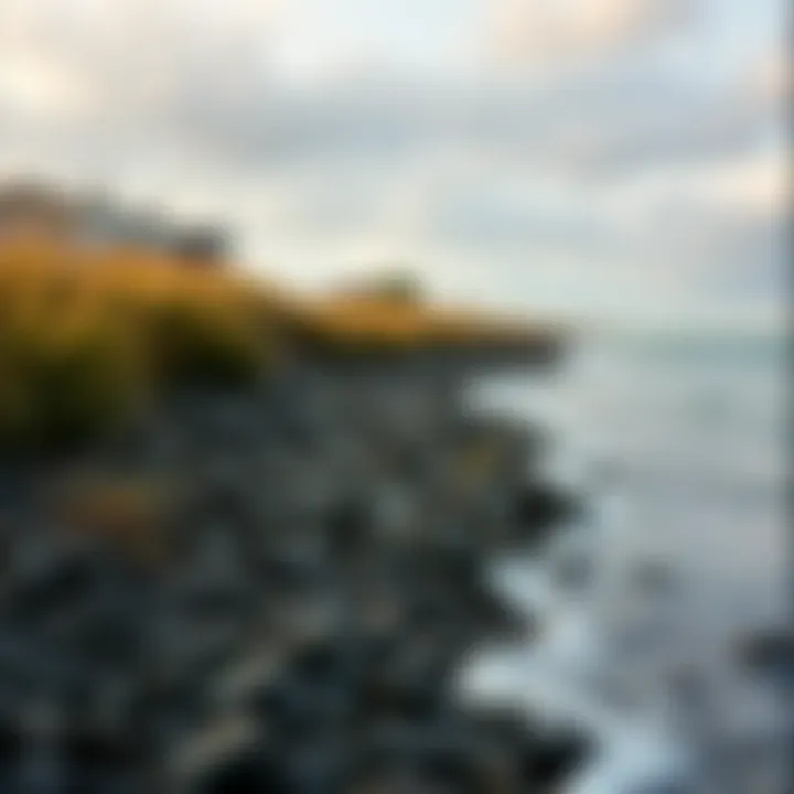 Notable Exploring the Shoreline: A Detailed Perspective