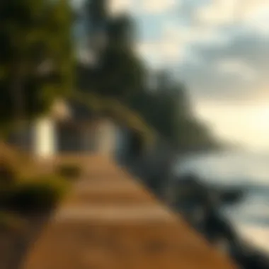 Exploring the Shoreline: A Detailed Perspective Summary