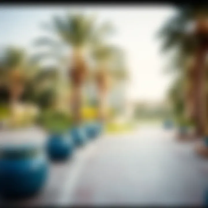 Exploring Zabeel Park: An In-Depth Guide Summary