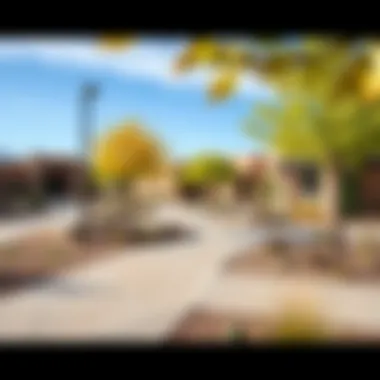 Landscaped areas and community spaces in Falcon City Phase 2