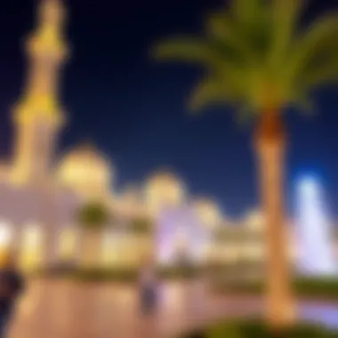 Family-Friendly Attractions and Places in Dubai Summary