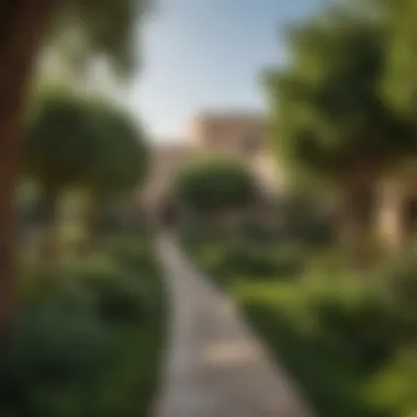 Lush Greenery of Hadiqat Al Tawaar A panoramic view of Hadiqat Al Tawaar showcasing its lush greenery and diverse plant species.