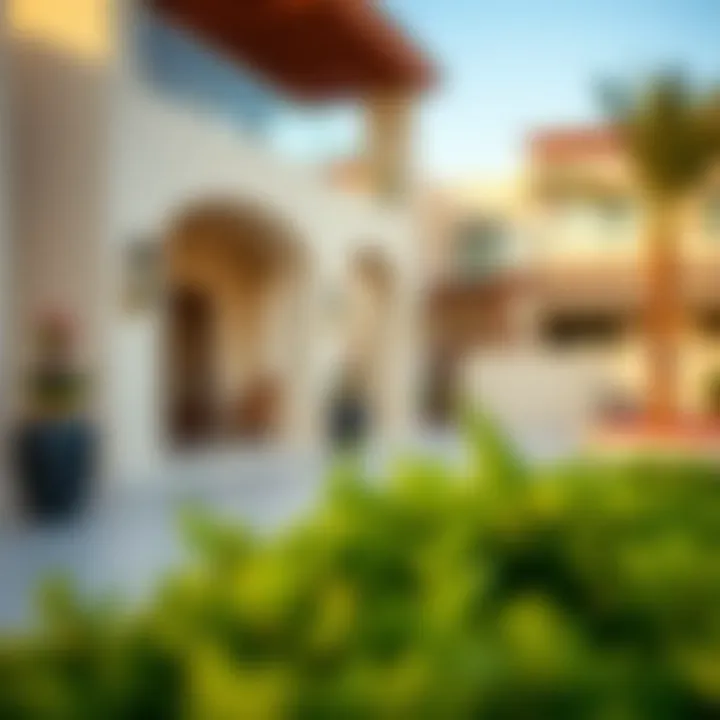 Handover Date of Ruba in Arabian Ranches 3: Insights and Implications Summary