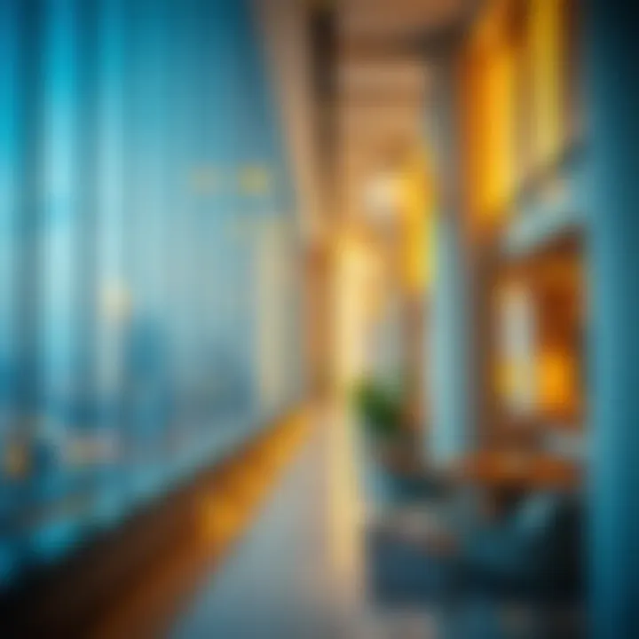 Investing in Dubai: Opportunities and Considerations Summary Investing in Dubai: Opportunities and Considerations Summary