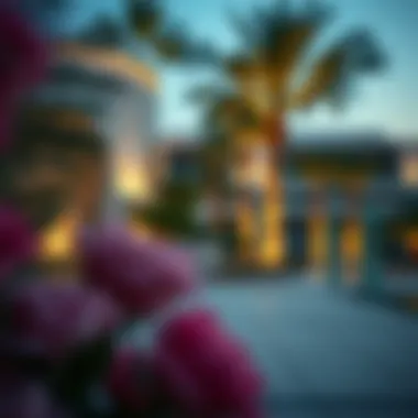 Beautiful surroundings of Jannah Hotel and Villas