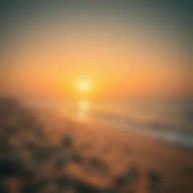 Serene Beach at Koronish Ajman A serene beach scene in Koronish Ajman with golden sands and clear waters.