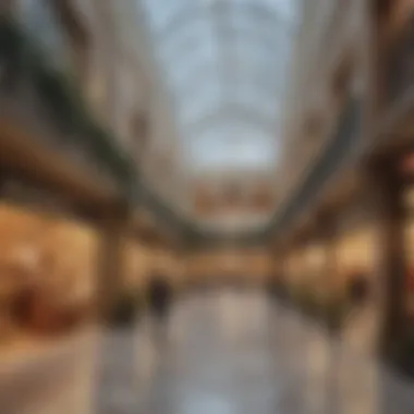 Diverse Retail Experience Vibrant shopping area within the center filled with diverse retail outlets