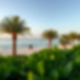 A panoramic view of Mamzar Beach Park highlighting its lush greenery and beachside