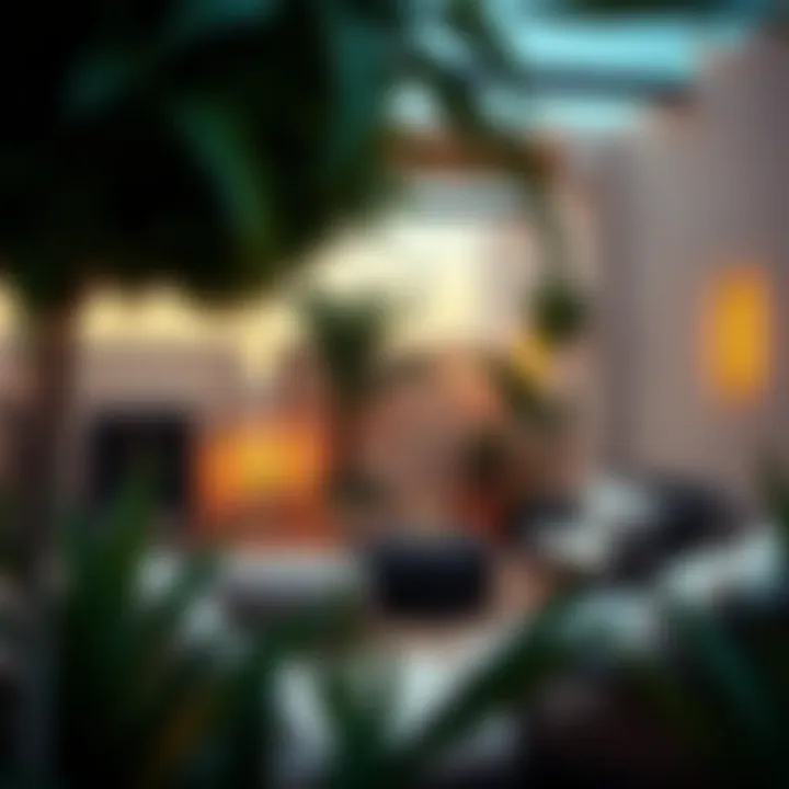 Cozy Outdoor Space for Studio Living A cozy outdoor space perfect for relaxation in a studio setting