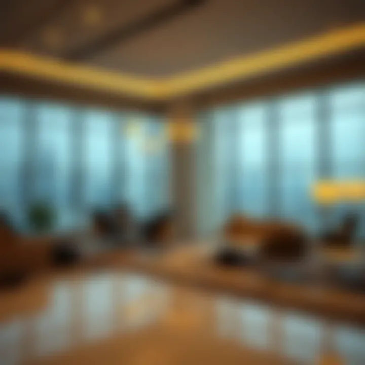 Navigating the Online Visa Status Check for Dubai Summary