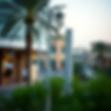 Surrounding neighborhoods and their proximity to Oasis Mall