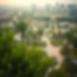 A breathtaking view of the lush greenery in حديقة الرقايب