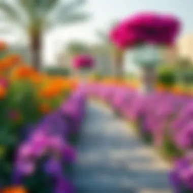 Vibrant Walking Trails at حديقة الرقايب Walking trail with vibrant flowers in حديقة الرقايب