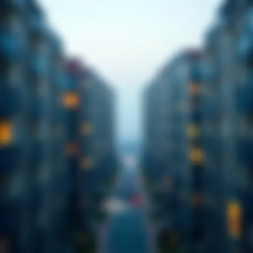 The Dynamics of Zayed Housing in Dubai Introduction The Dynamics of Zayed Housing in Dubai Introduction