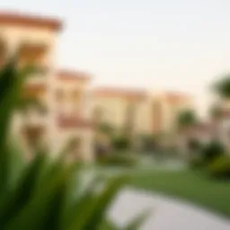 Understanding Damac Hills Ownership Introduction