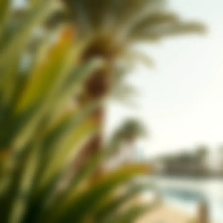 Cultural Impact of the Eight Palm Cultural significance of the Eight Palm in Dubai