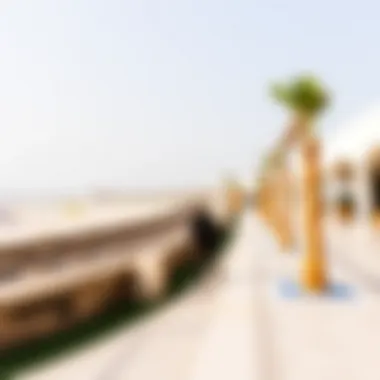 Notable Understanding the Entrance Fee Structure at La Mer Beach, Dubai