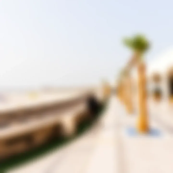 Notable Understanding the Entrance Fee Structure at La Mer Beach, Dubai