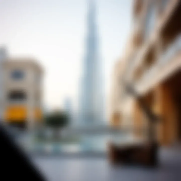 Understanding the Living Standards in Dubai Summary