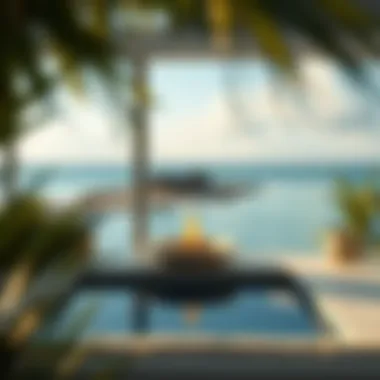Visual Insights into Bluewaters Island: A Photographic Exploration Introduction