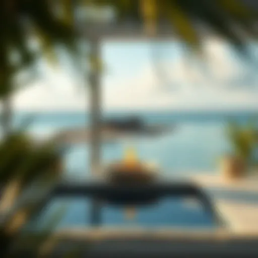 Visual Insights into Bluewaters Island: A Photographic Exploration Introduction