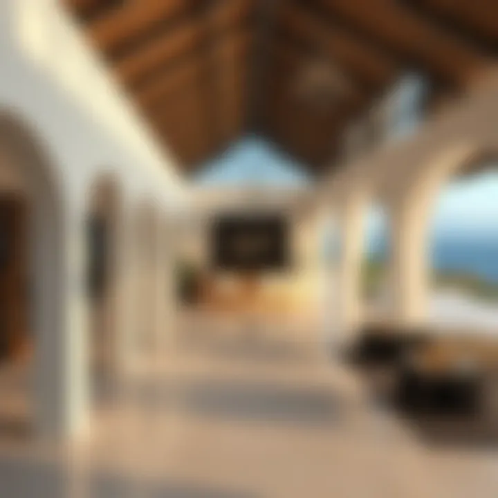Notable Visual Insights into Bluewaters Island: A Photographic Exploration