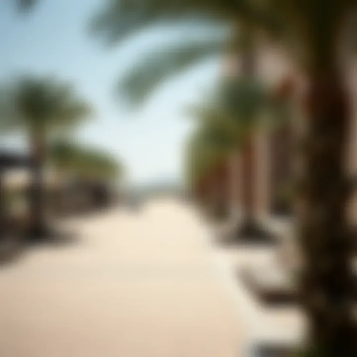 Wadi Park: An Exploration of Its Multifaceted Appeal Summary