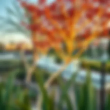 Relaxing Community Park in Yas Acers Vibrant community park within Yas Acers, perfect for relaxation